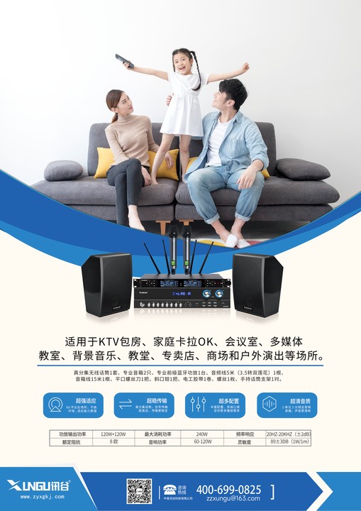 120W+120W Karaoke Amplifier System with Digital Wireless Mics